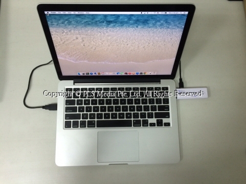 webSender with laptop.jpg